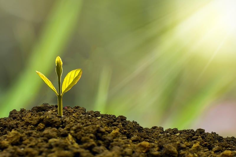Virement permanent Crédit Agricole : comment le mettre en place en 2026