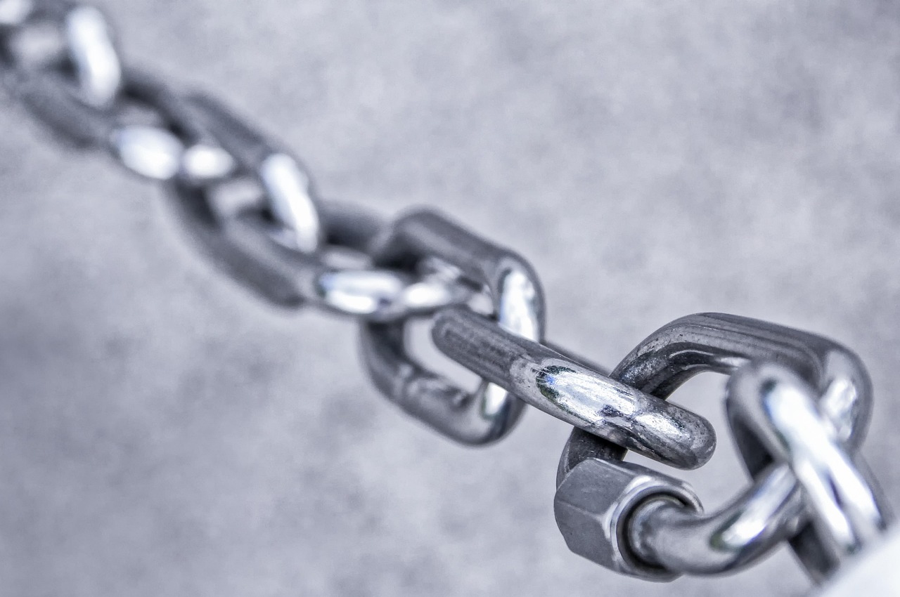 Comment optimiser la logistique et la supply chain des artefacts de collection ?