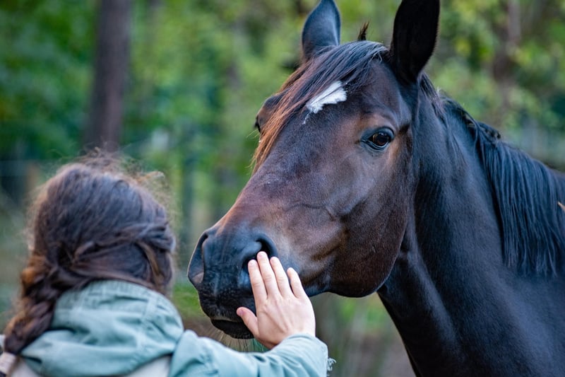 cheval