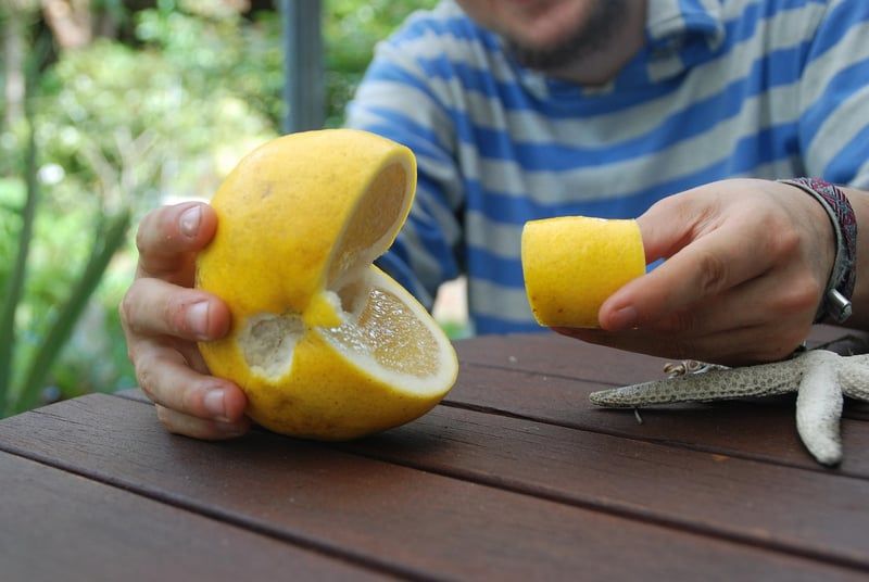 Losange jaune panneau : le guide ultime pour tout comprendre