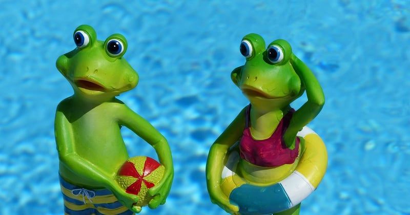 la grenouille