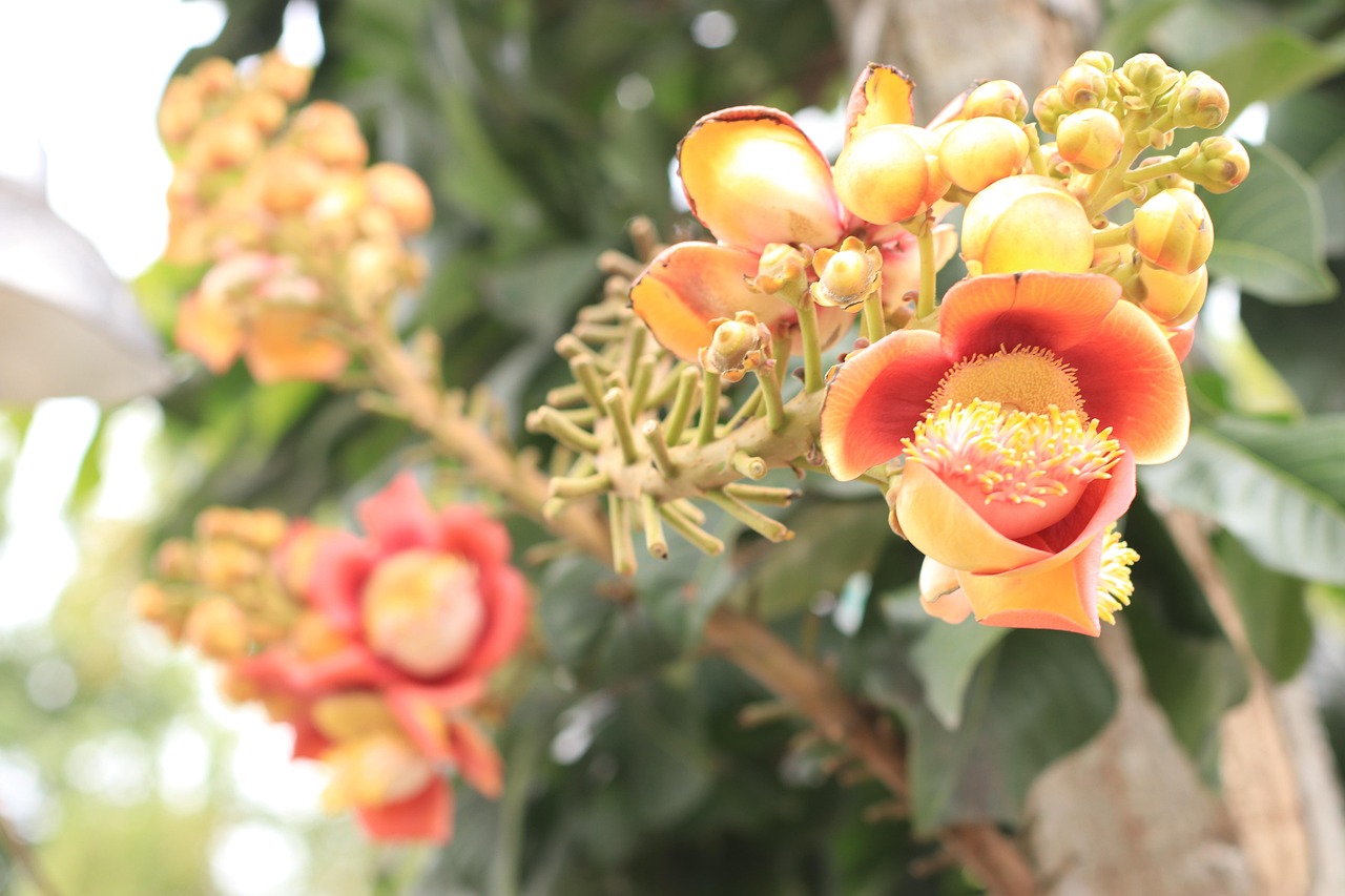 Quelle forme juridique choisir entre sas et sarl en 2025 découvrez les différences clés entre la sas et la sarl en 2025 pour choisir la forme juridique idéale pour votre entreprise, avec conseils et avantages détaillés.